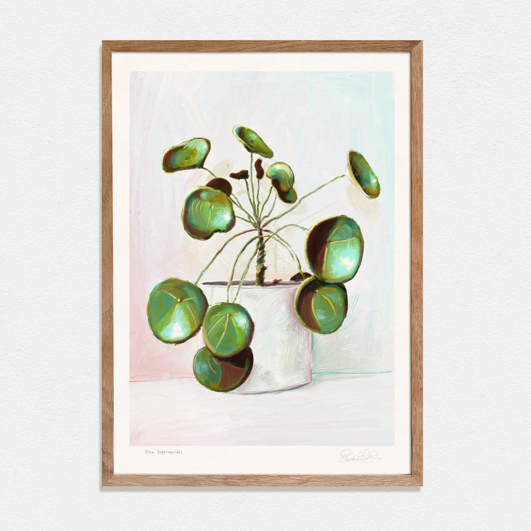 Pilea Peperomioides - Art Print