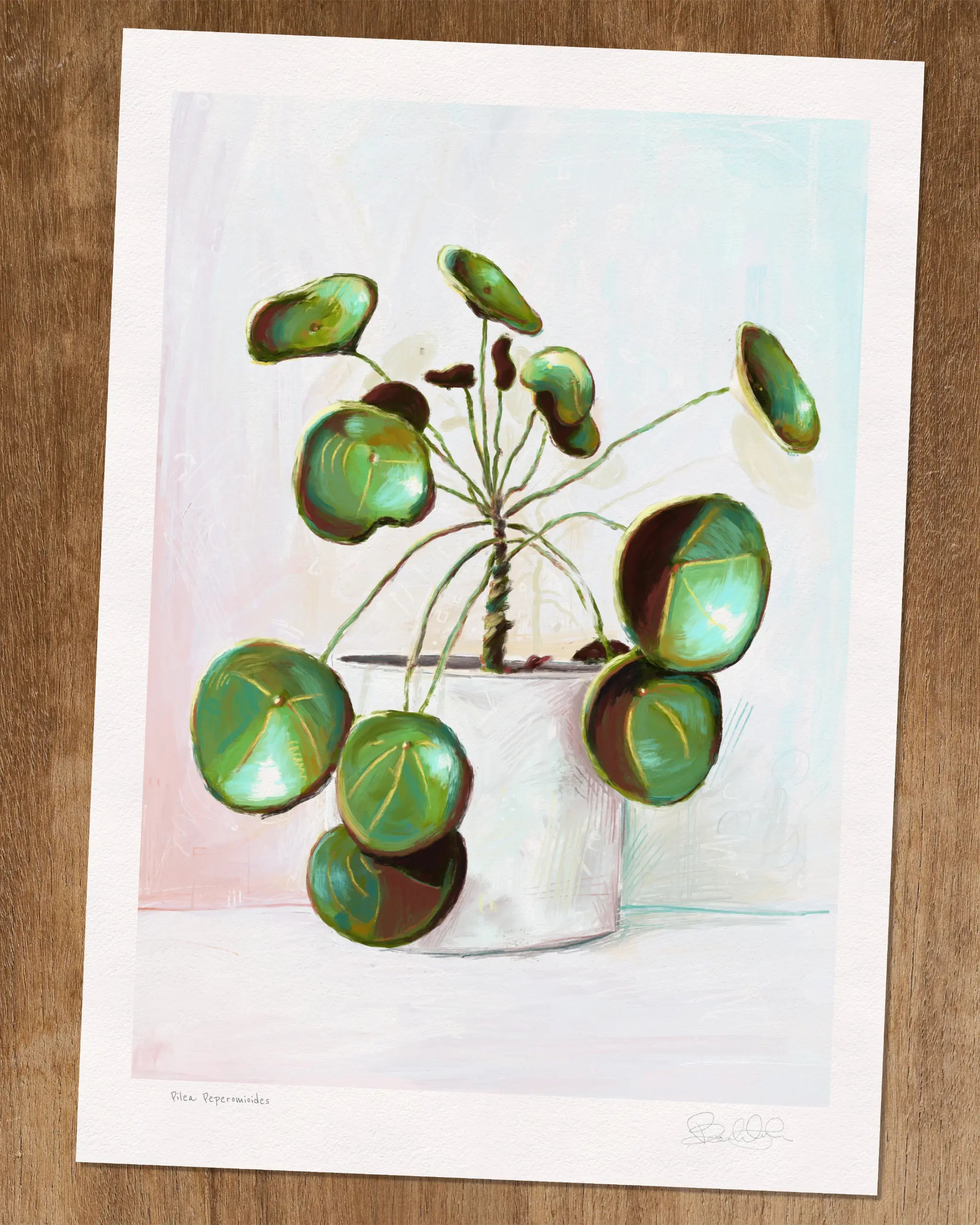 Pilea Peperomioides - Art Print